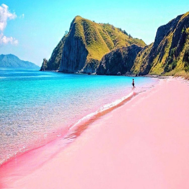 pantai pink